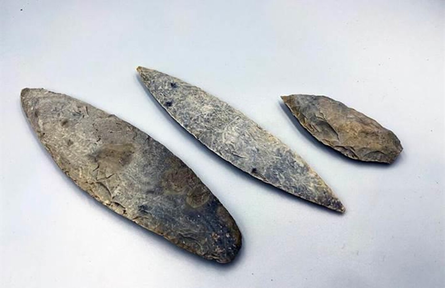 arqueologos-mexicanos