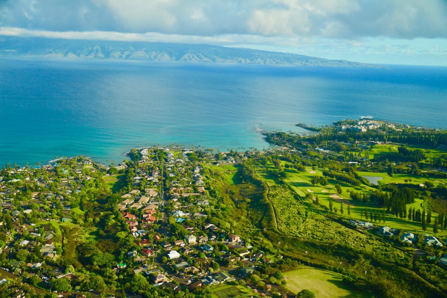 tiburon-maui