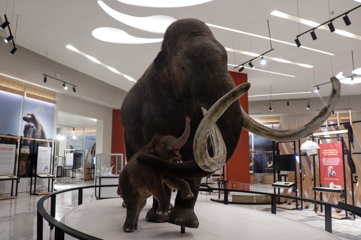 AIFA-mamut-museo-5