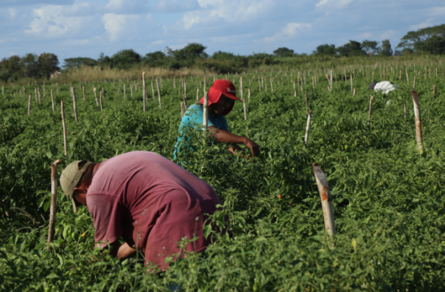 Captura de pantalla 2018-08-17 a la(s) 17.52.20