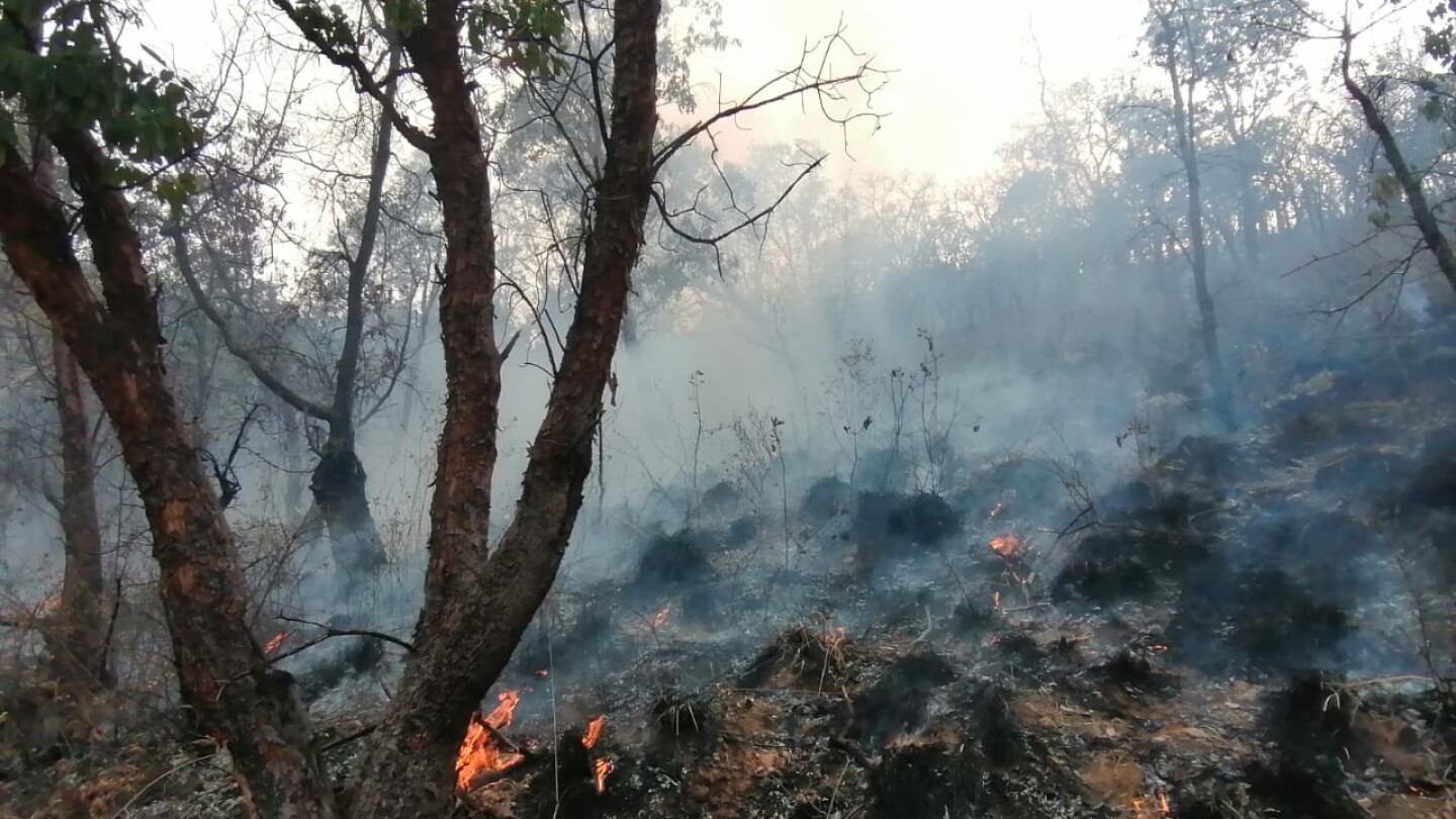 incendio en zinapécuaro
