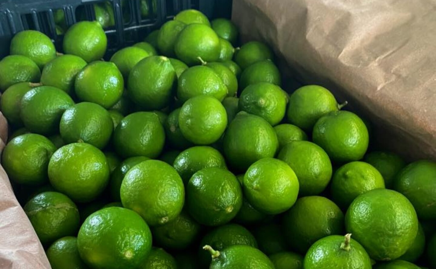 Limón-de-Michoacán