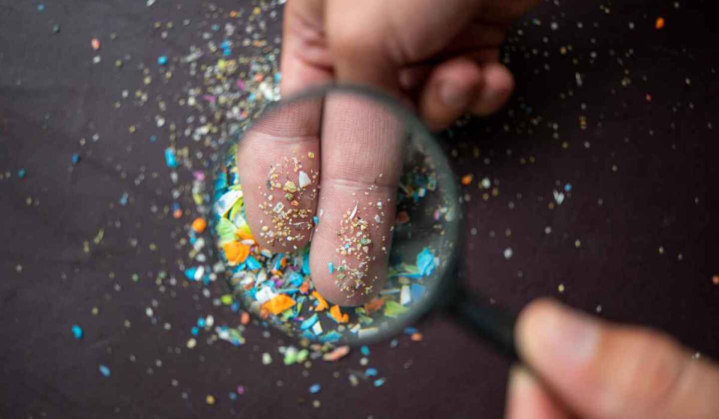 ANIPAC-microplasticos-ambiente.jpg