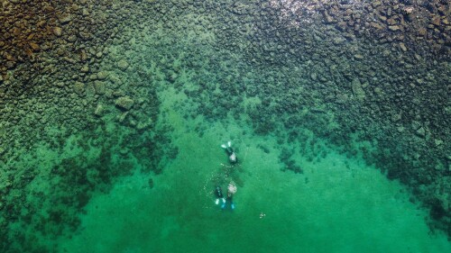HONG KONG-CHINA-ENVIRONMENT-REEFS