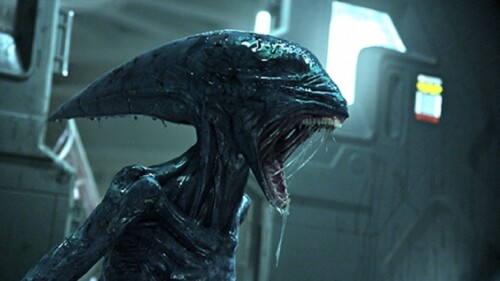 alien-covenant_qkgf