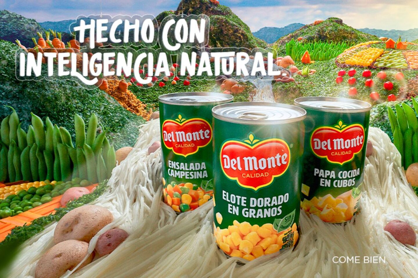 del-monte-entra-en-proceso-de-bancarrota-tras-anos-de-operacion-global-que-pasara-con-sus-plantas-en-mexico