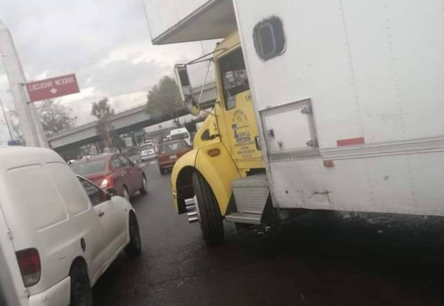 transportistas-lechecria-