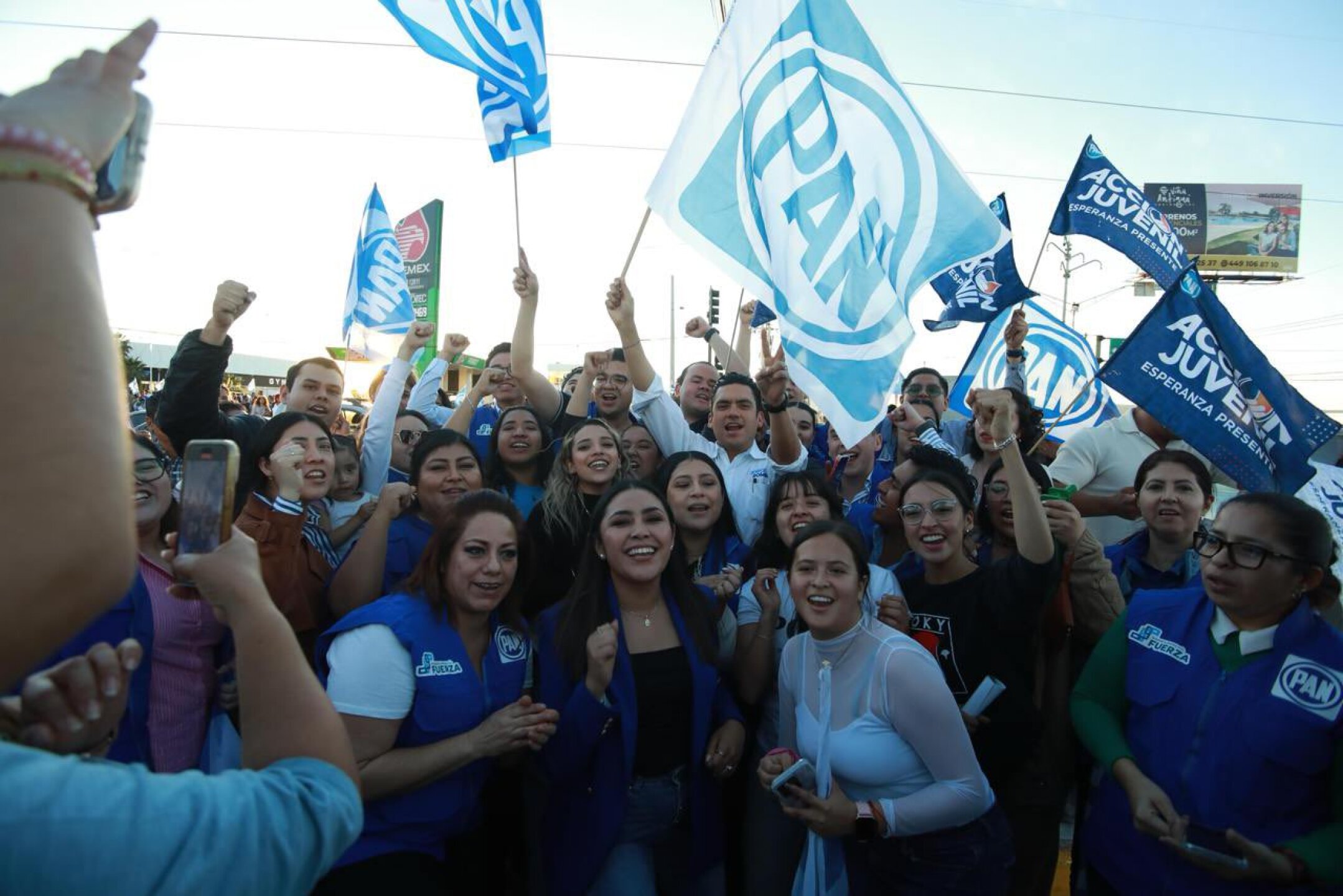 bandera del PAN.jpg