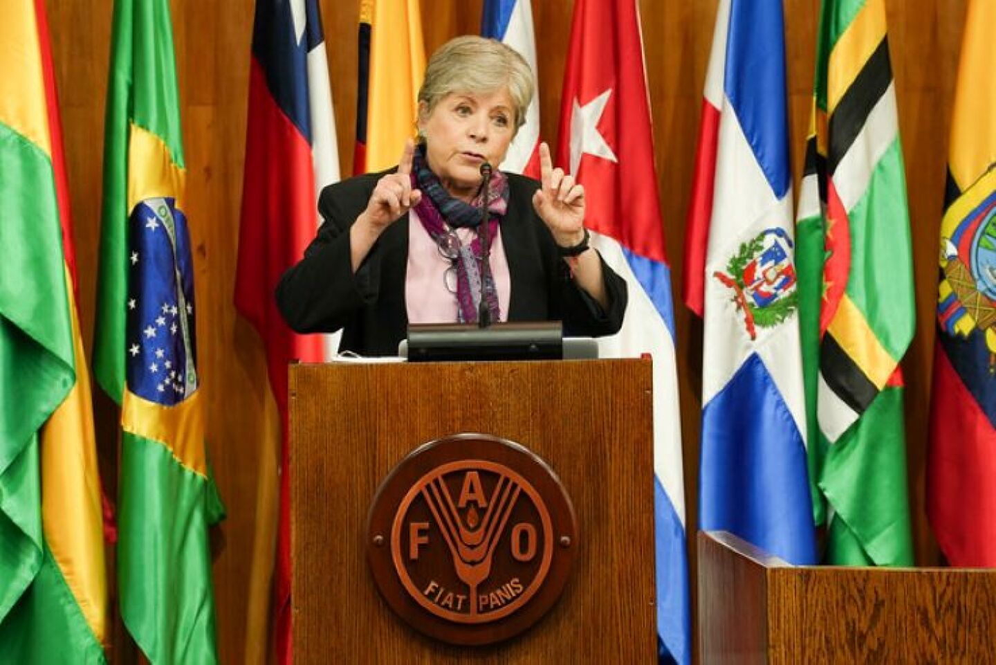 alicia bárcena