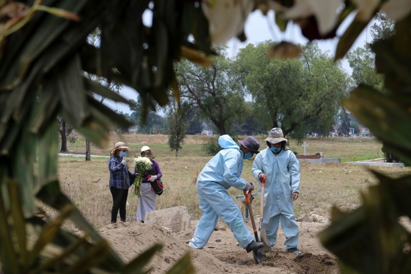 muertes-por-covid-19