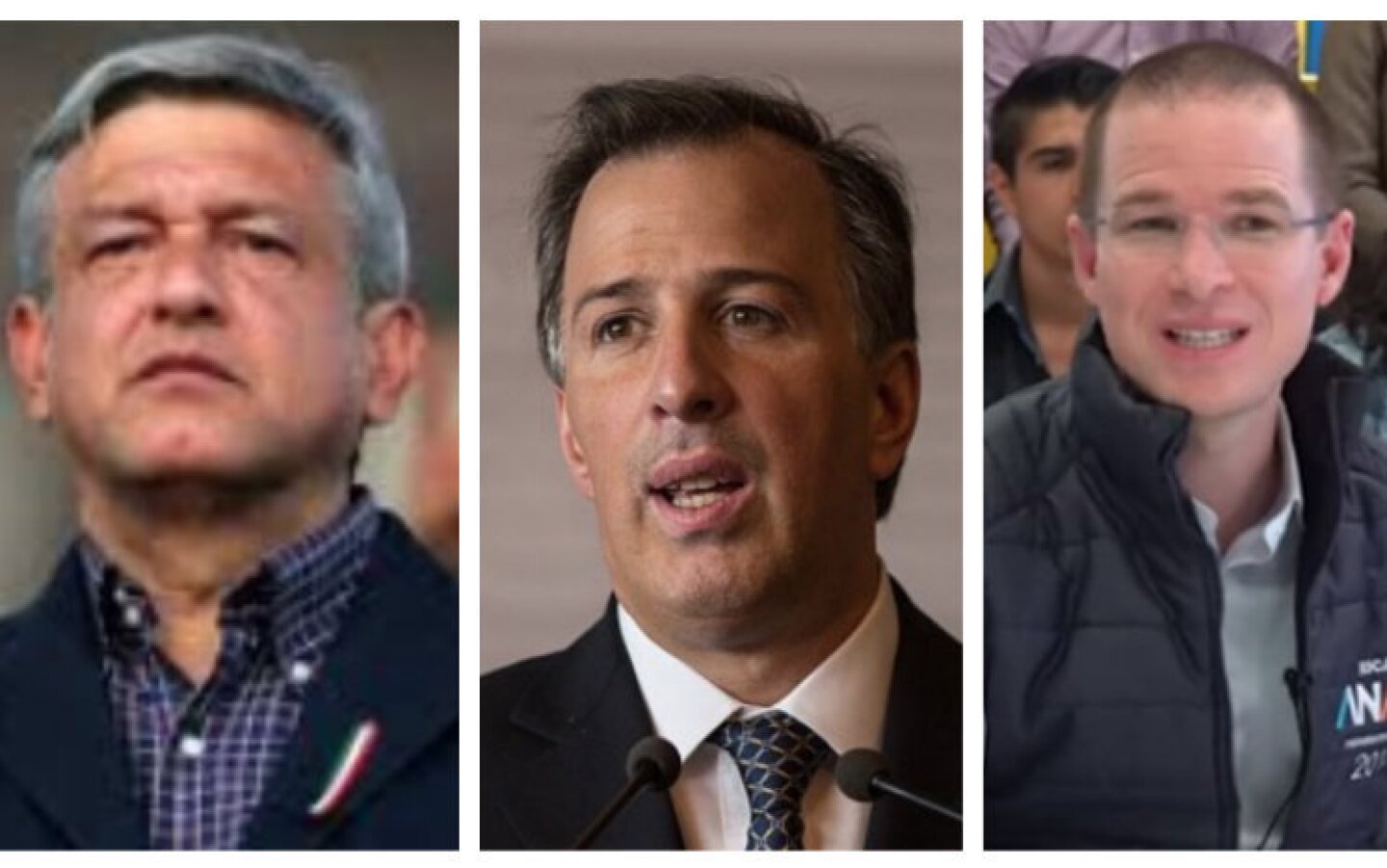 precandidatos