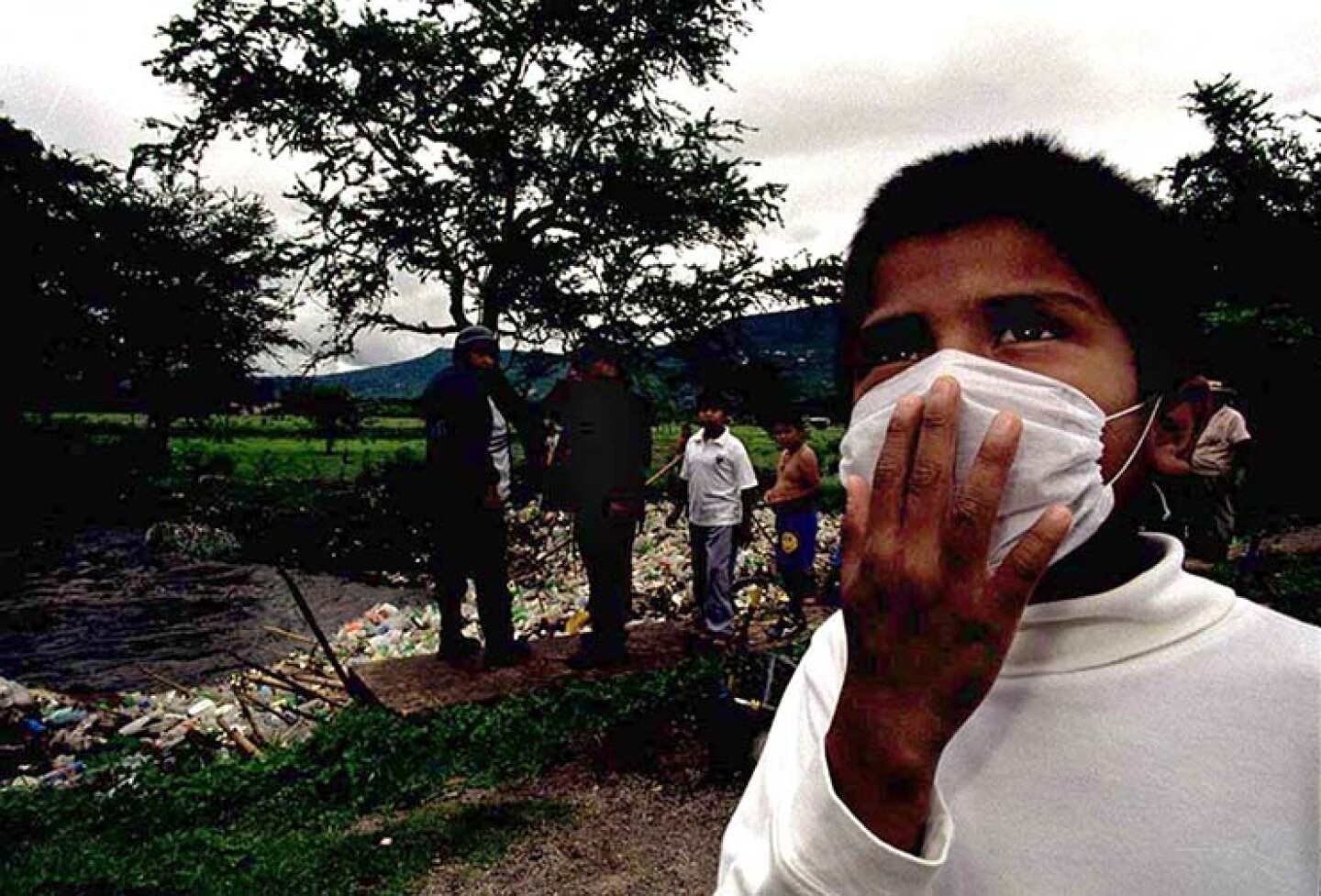 pico de notificaciones