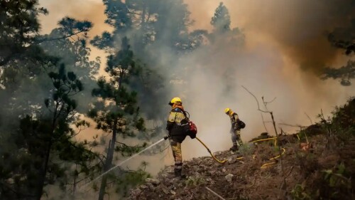 bomberos luchan contra un incendio forestal en la palma islas canarias españa