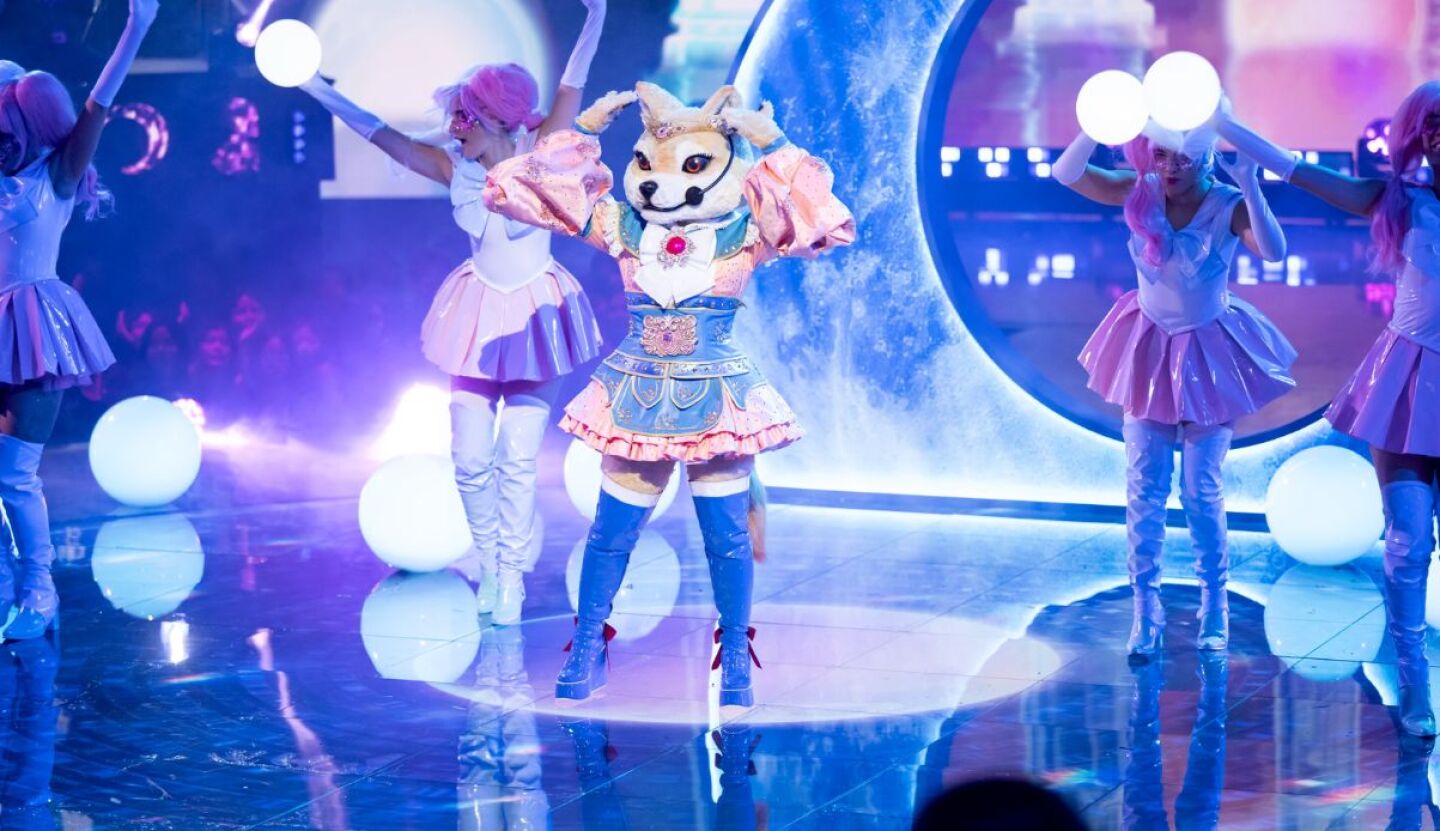 quien es la mascara shiba.jpg