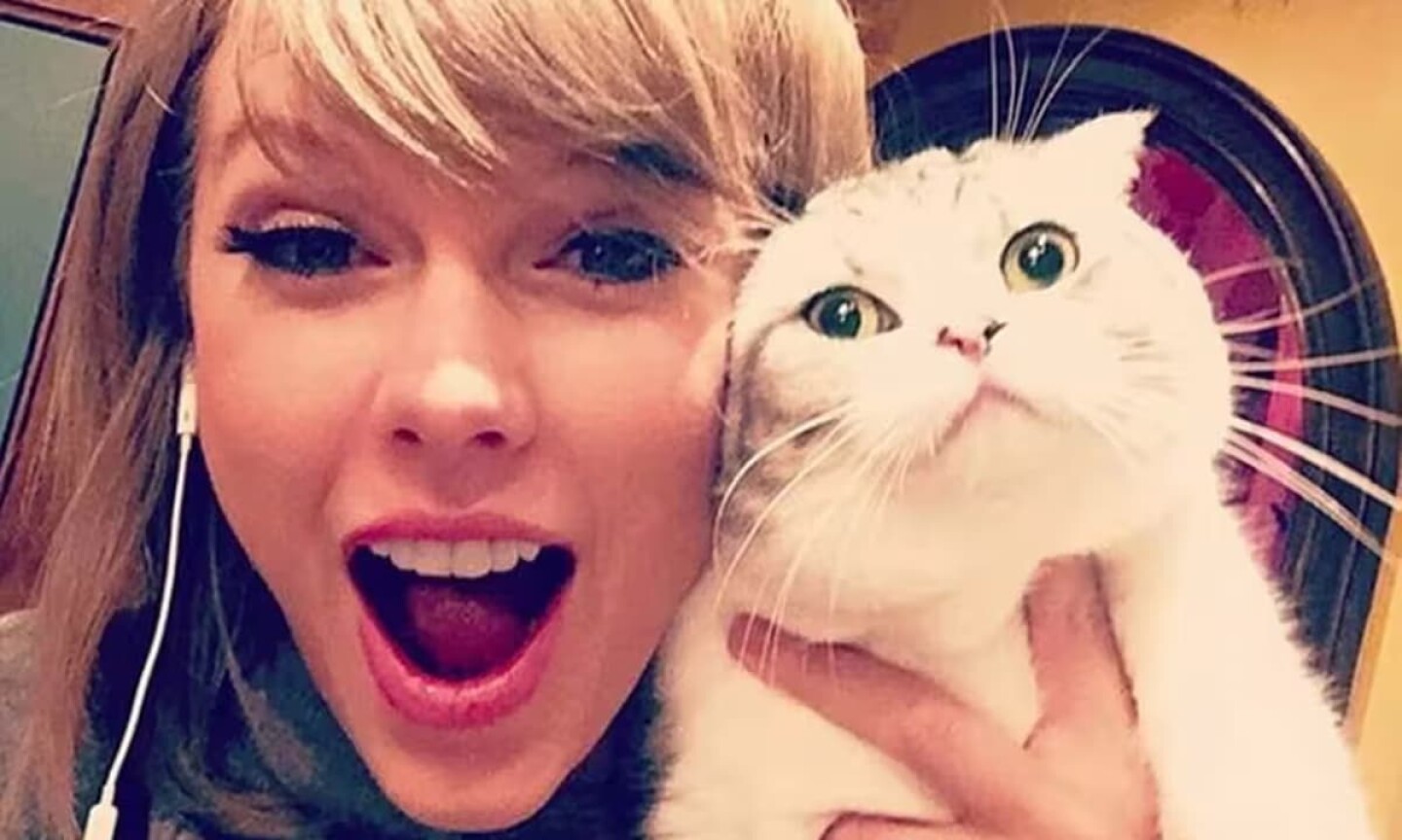 Los gatos de Taylor Swift padecen una enfermedad que les causa dolor constante