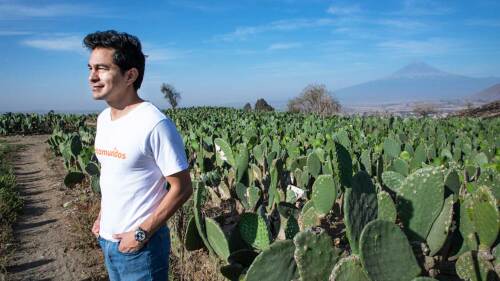 javier cárdenas, CEO Rotamundos