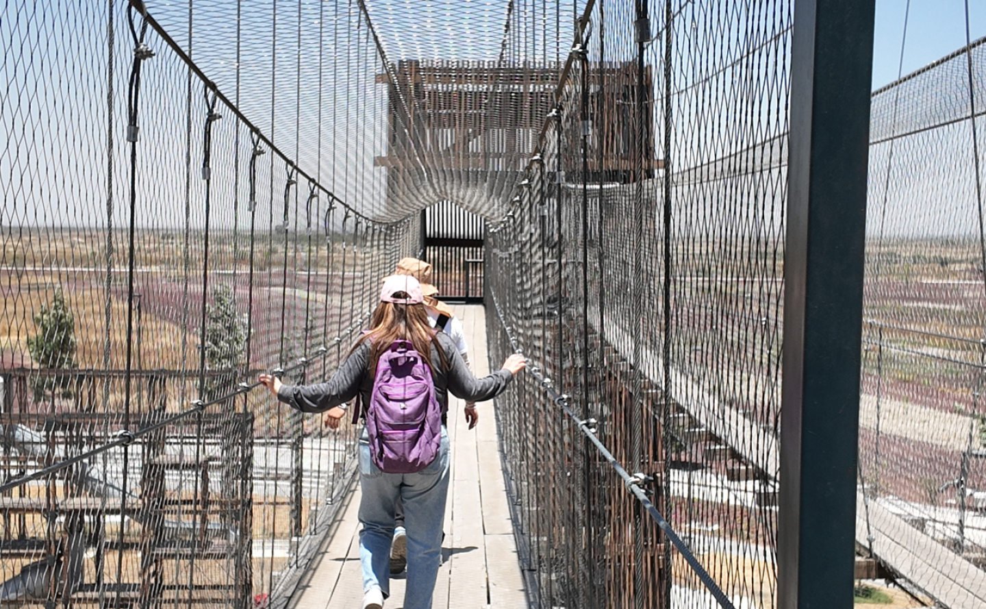 parque-ecologico-lago-de-texcoco-como-llegar.png