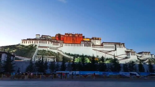 tibet-adn