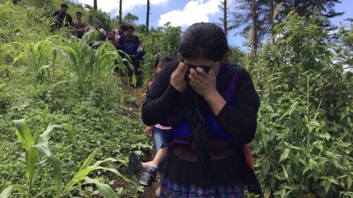 Violencia en Pantelhó