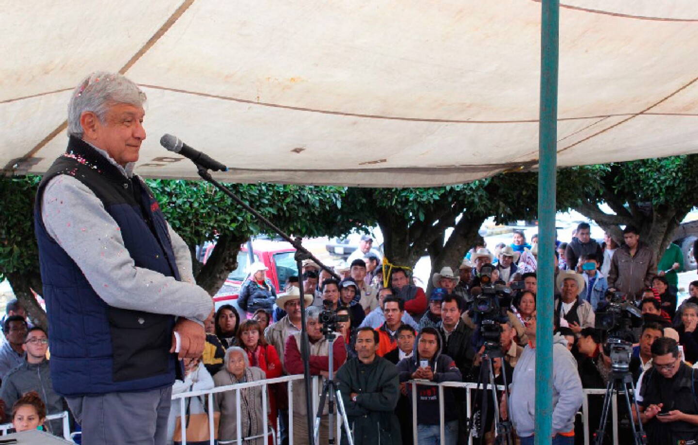 amlo