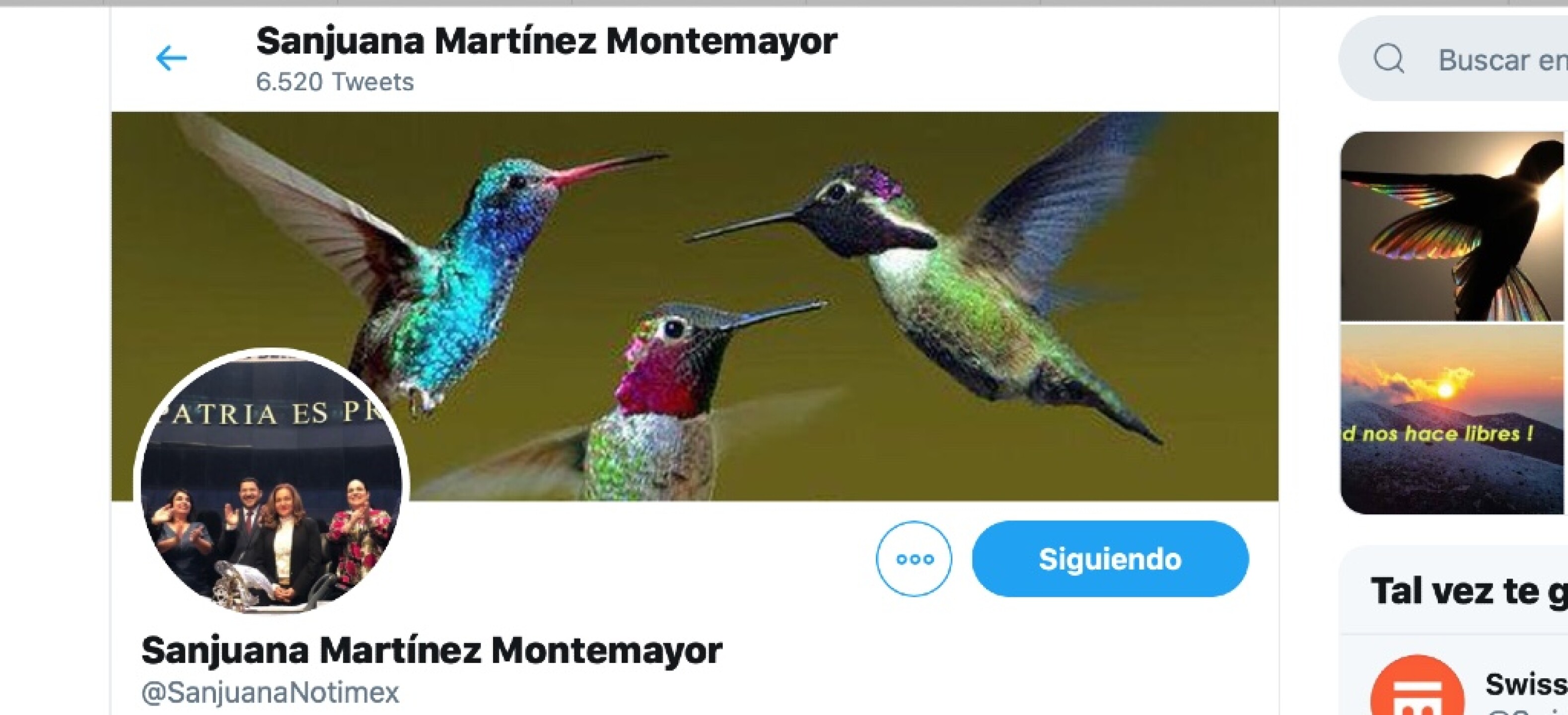 sanjuana_colibri_-twitter_cuenta