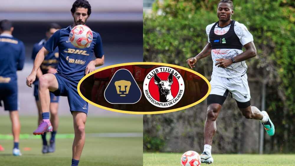 WhatsApp Image 2025-10-31 at 8.24.51 PM.jpeg