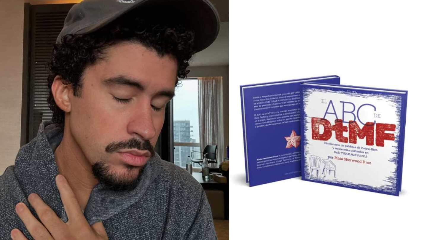 bad bunny diccionario.jpg