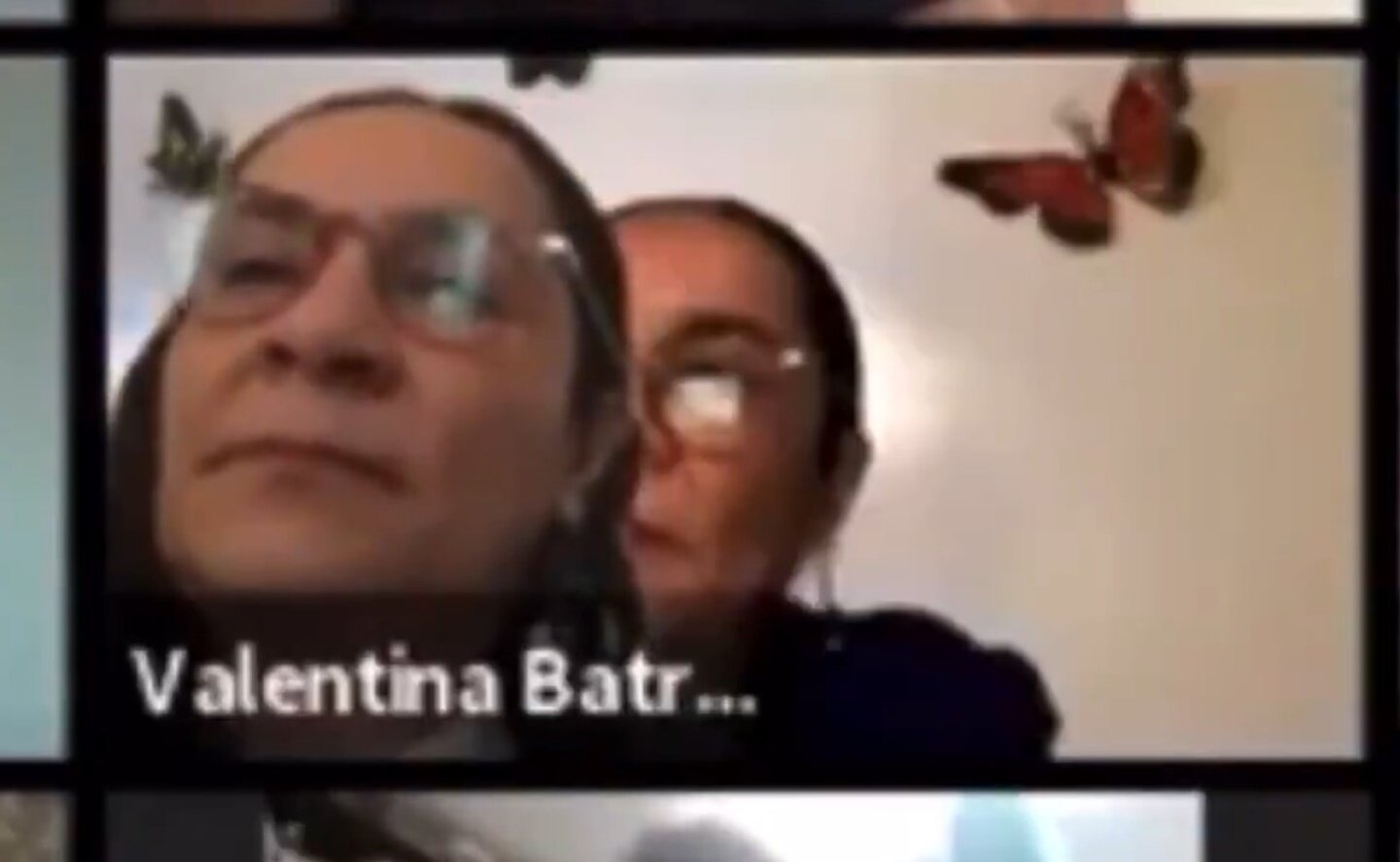 diputada_0