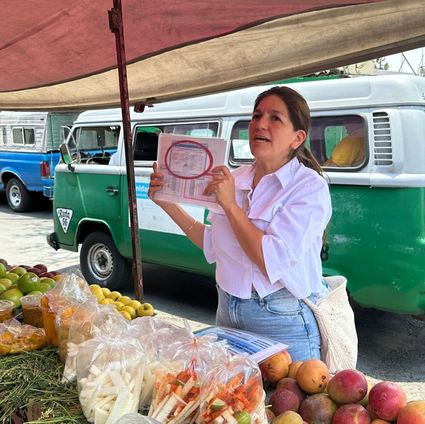 Raquel Olvera candidata a magistrada