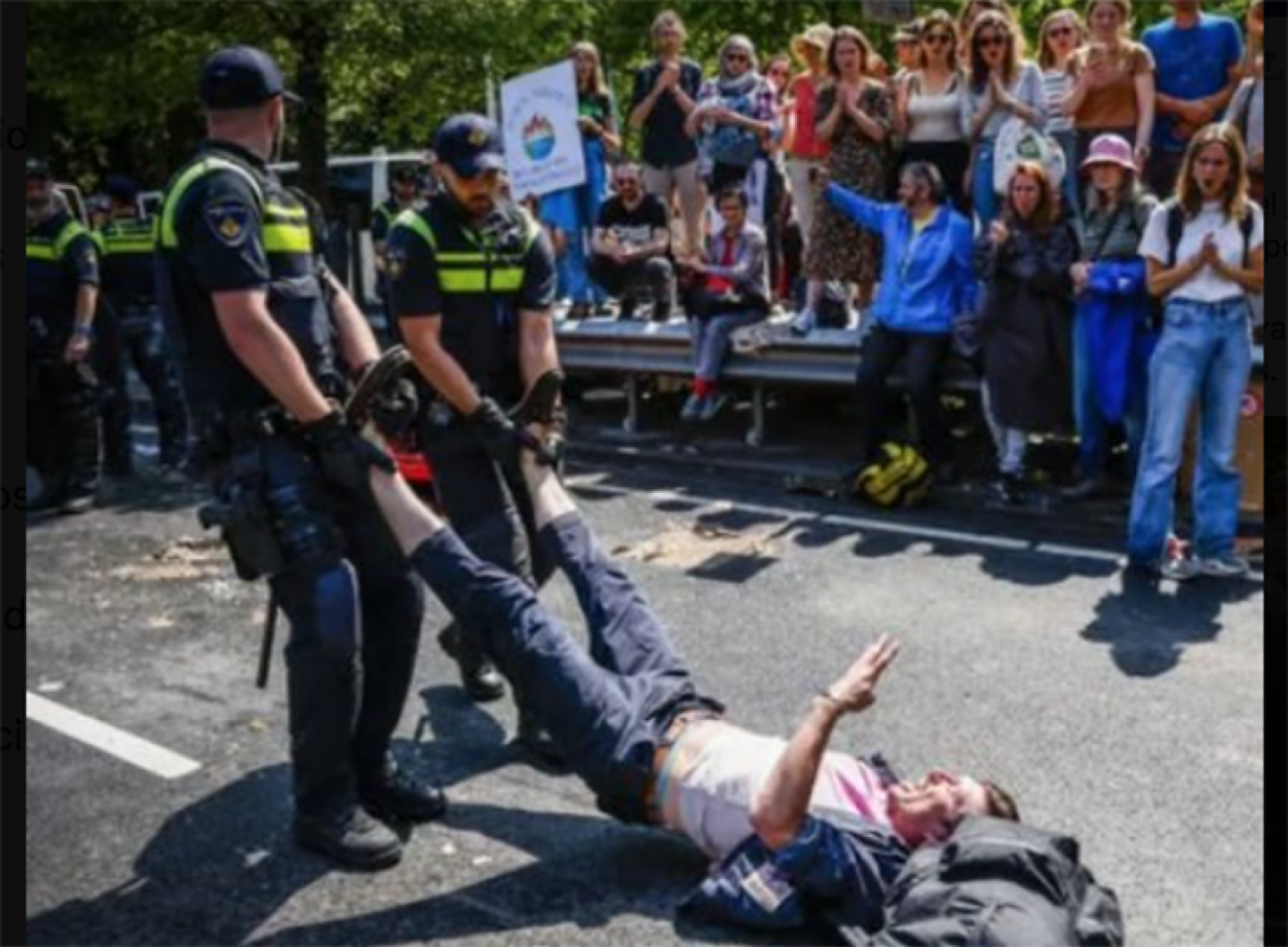 Manifestación ecologista Holanda