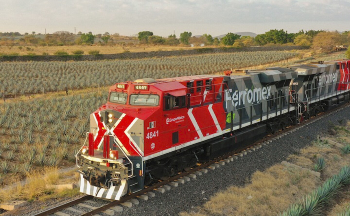 grupo-mexico