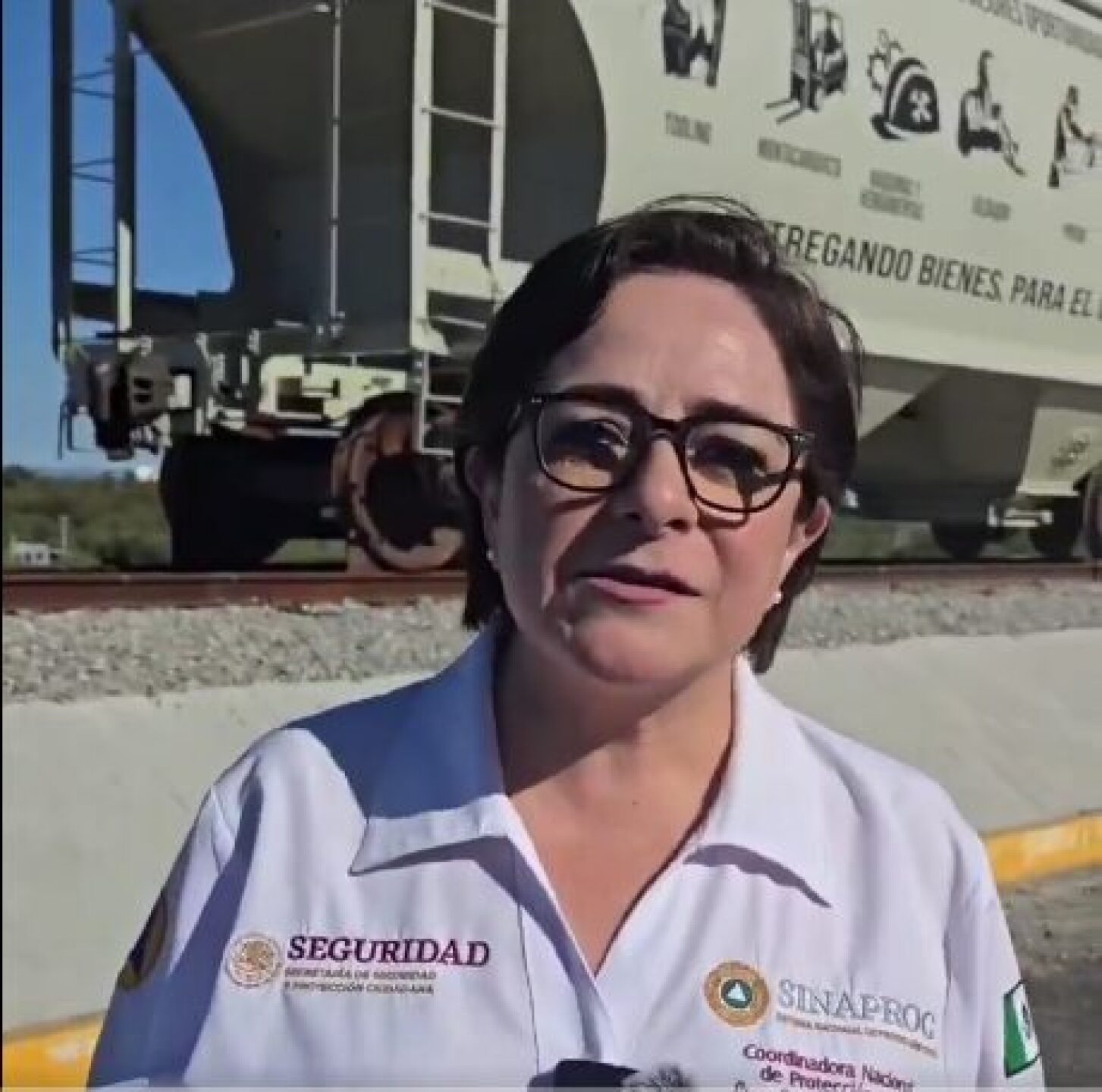 Screenshot-2024-11-14-4.04.13-PM