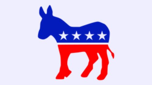 quien-es-candidato-del-partido-democrata-a-las-elecciones-de-estados-unidos-2024