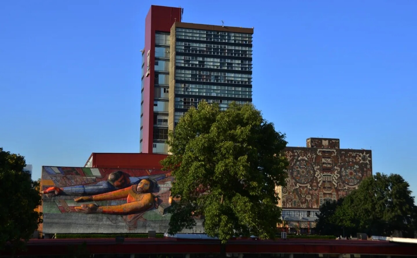 cuando-salen-resultados-unam