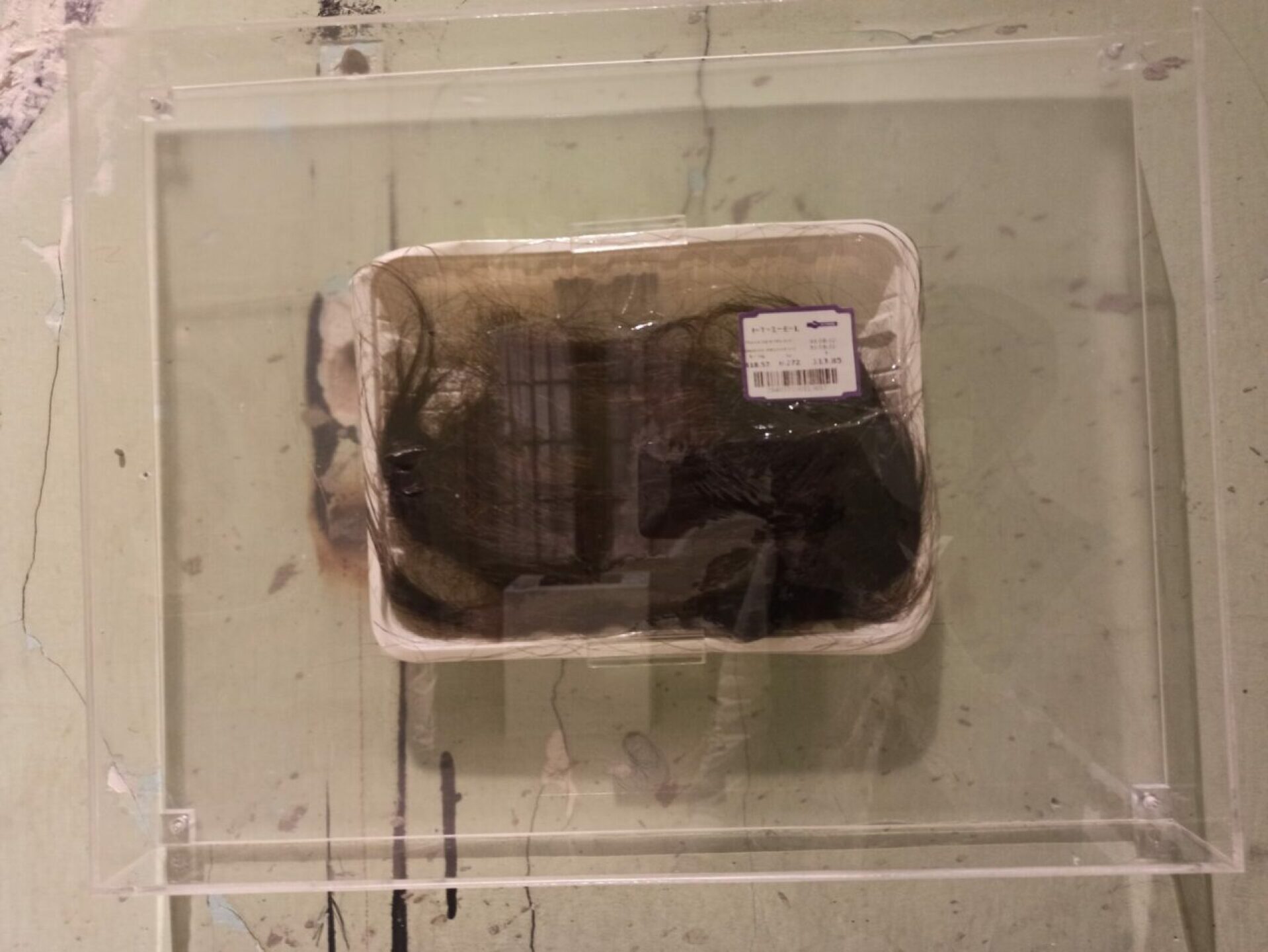 obras-de-arte-excentricas-salon-acme-5-1280x961