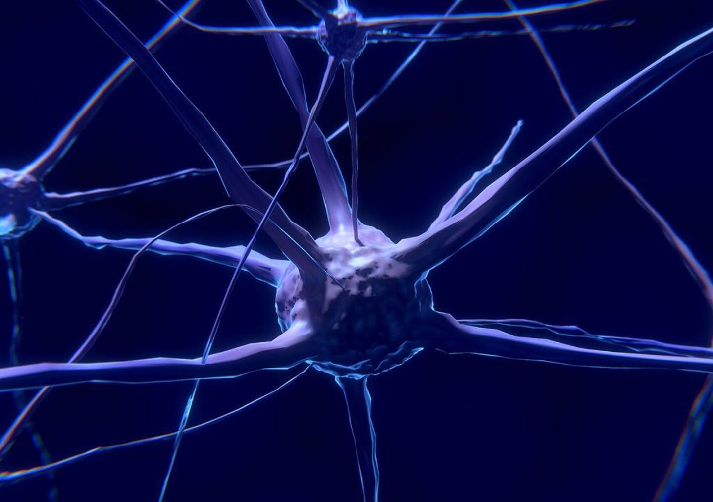 Neuronas