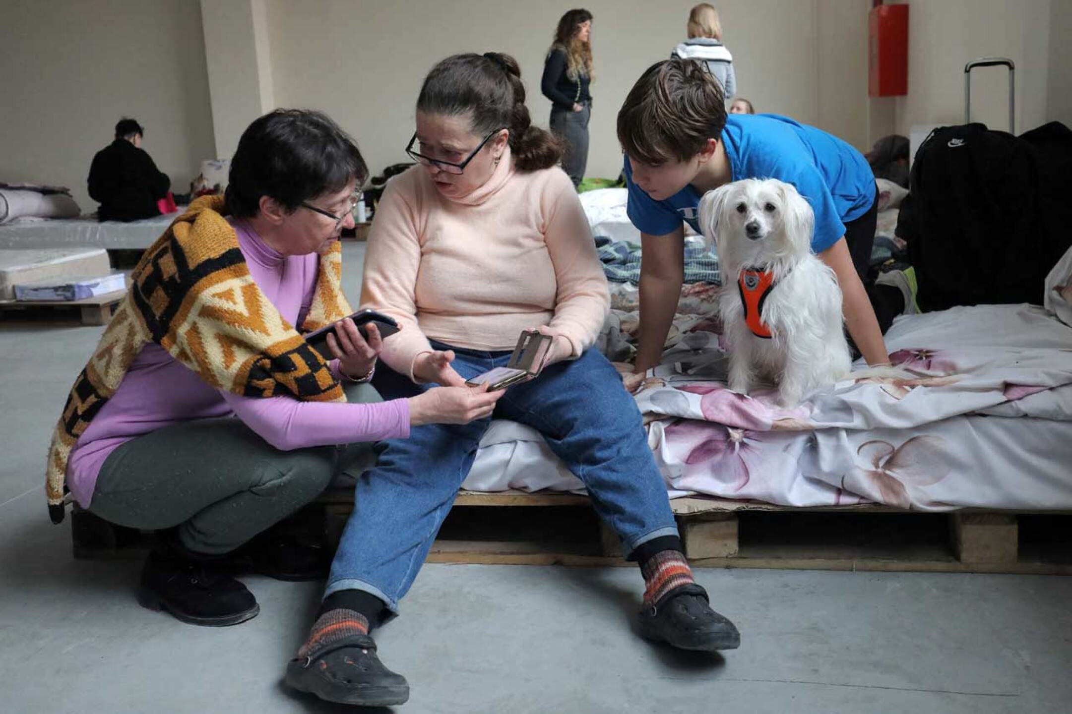 mascotas-guerra-ucrania-rusia-rescate-5