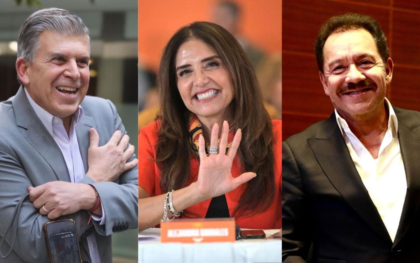 licencia_senadores.jpg