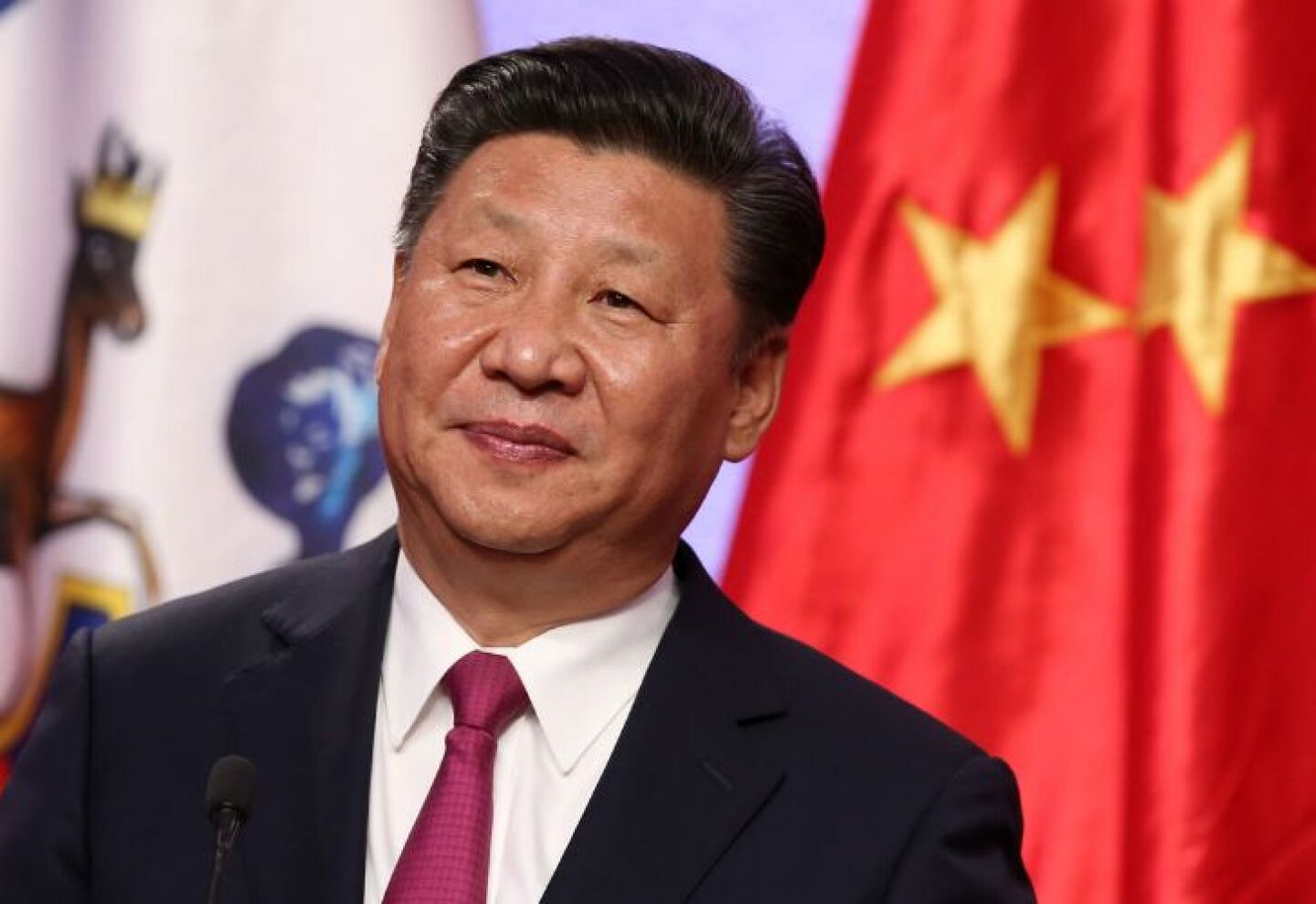 Xi Jinping en China