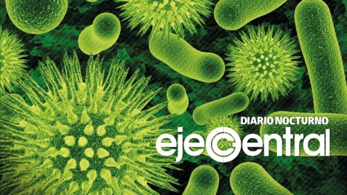 8-Promo-646_Las bacterias marcaron el comienzo de la caída de las civilizaciones antiguas