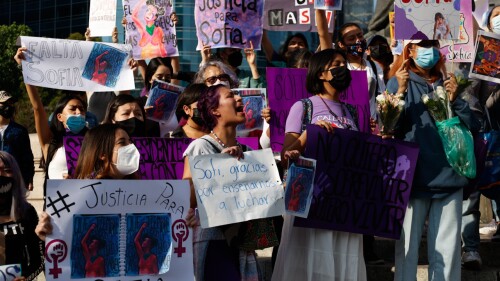 Marcha por Sofía