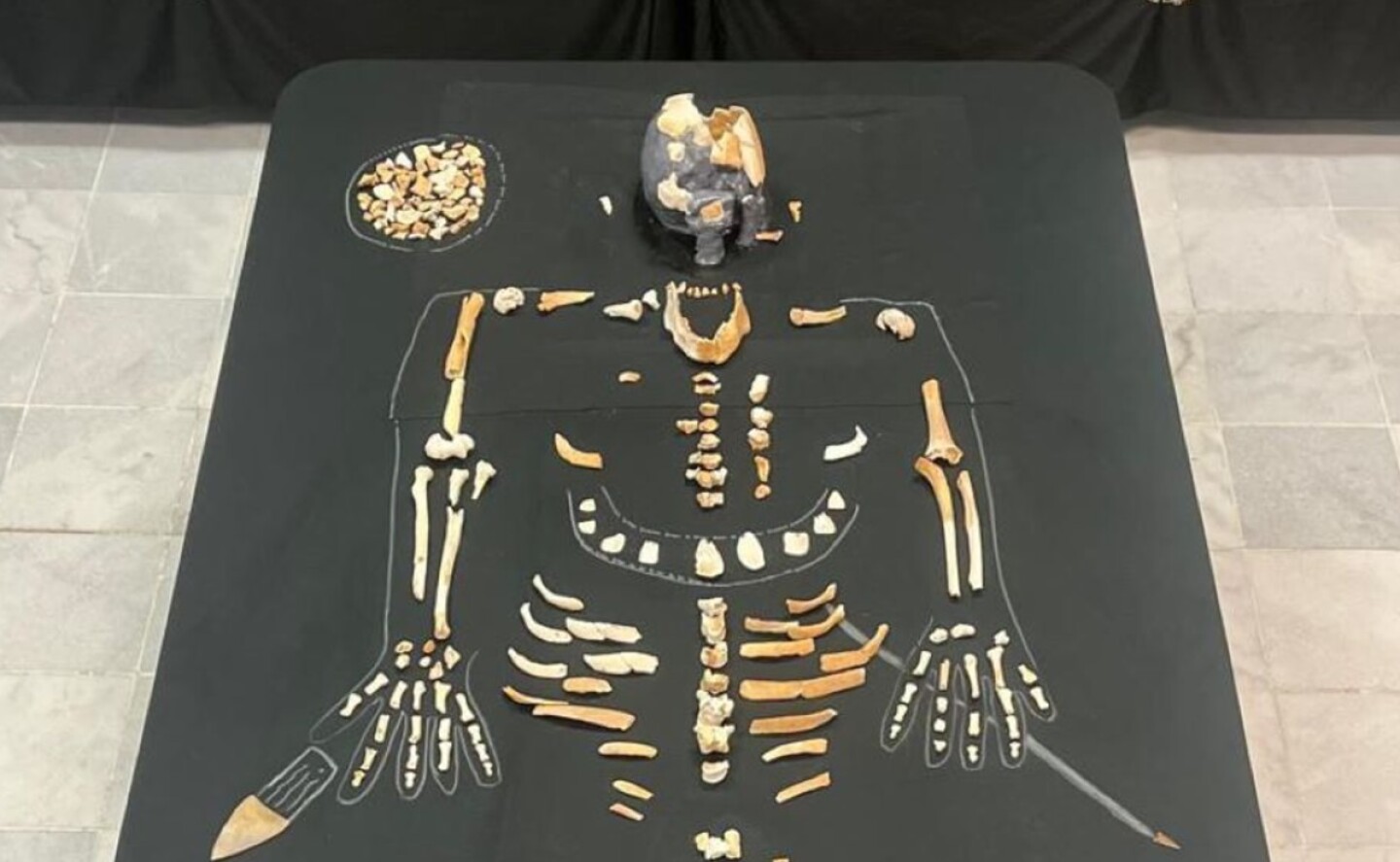 inah_esqueleto_restos_humanos_hombre_de_bilbao_