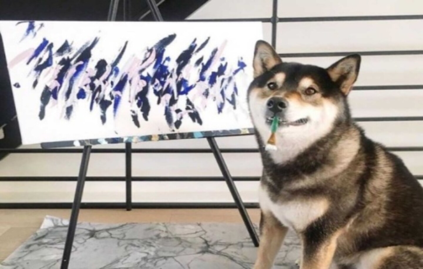 perrito_pintor_gana_mas_de_17_mil_800_dolares_con_sus_cuadros