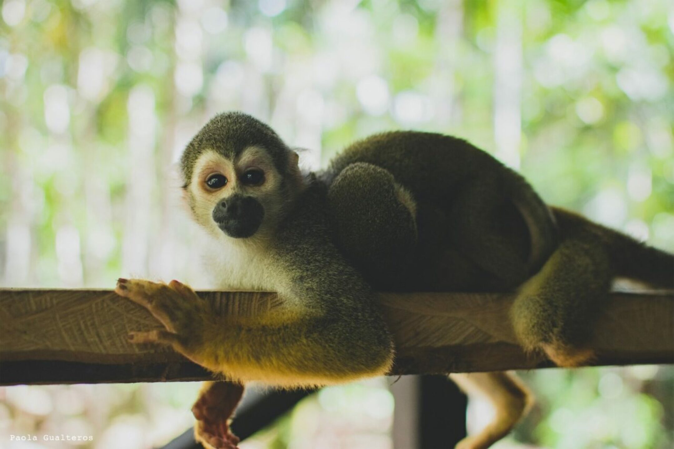 Parque-Nacional-Natural-Amacayacu-fraile-1280x854