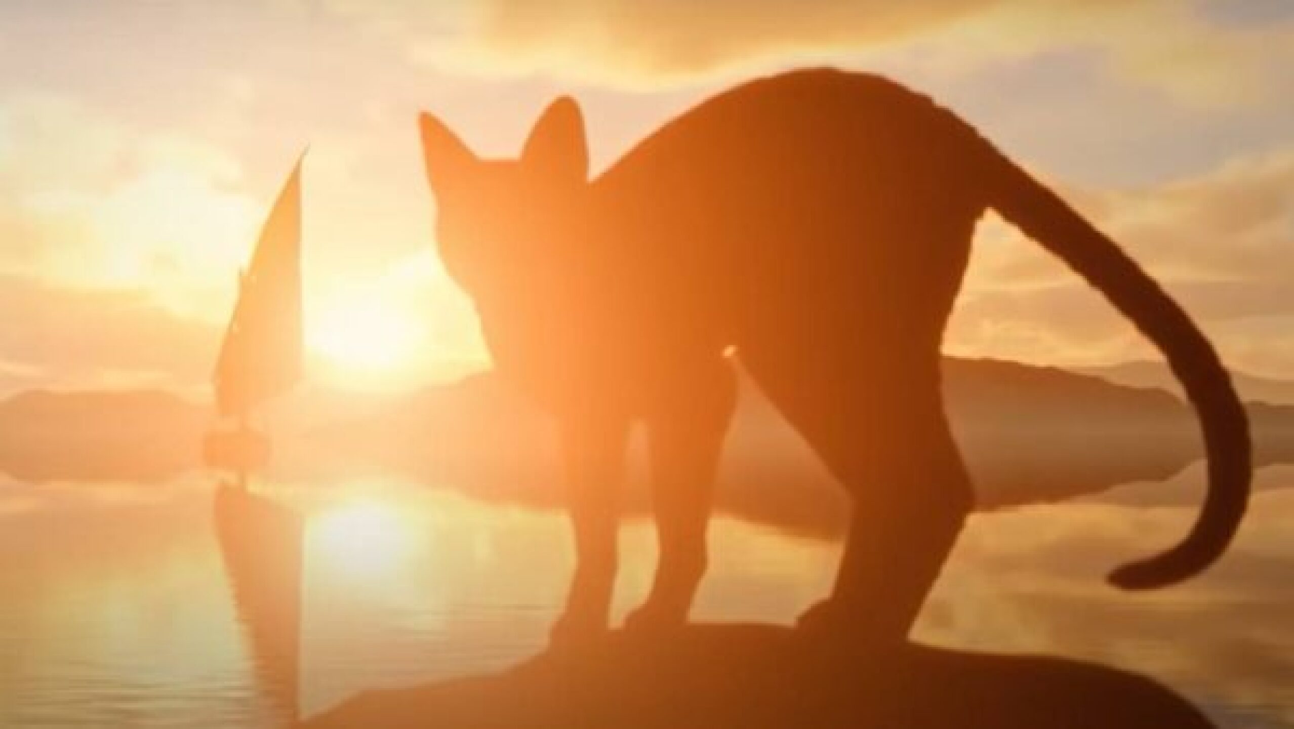 flow-pelicula-600x338