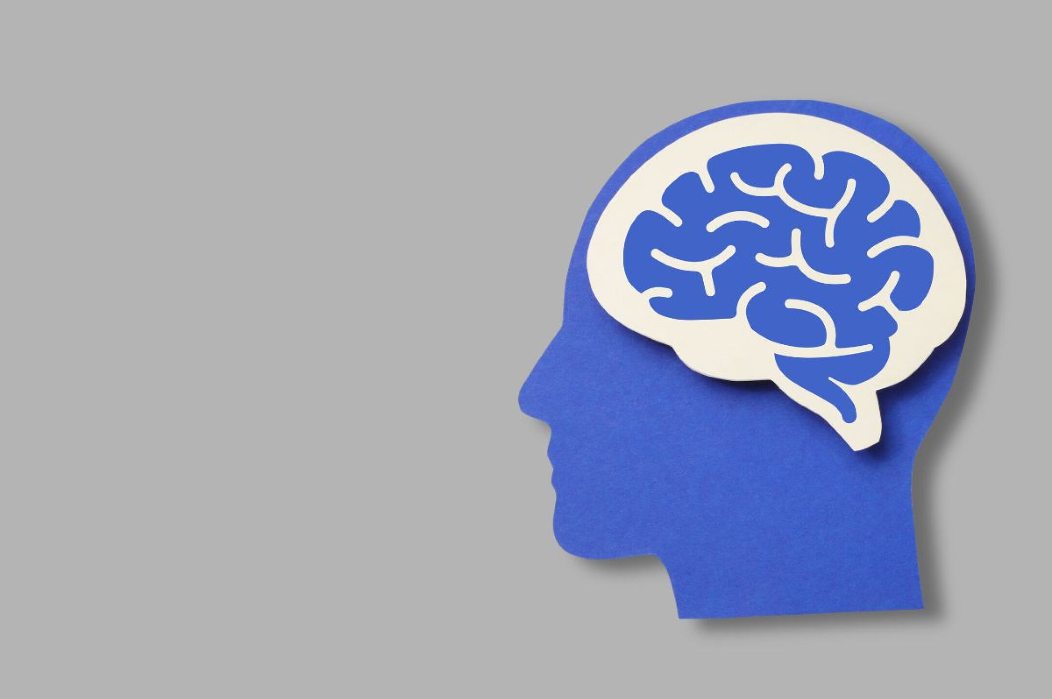 cuatro puntos de inflexión cerebral envejecimiento