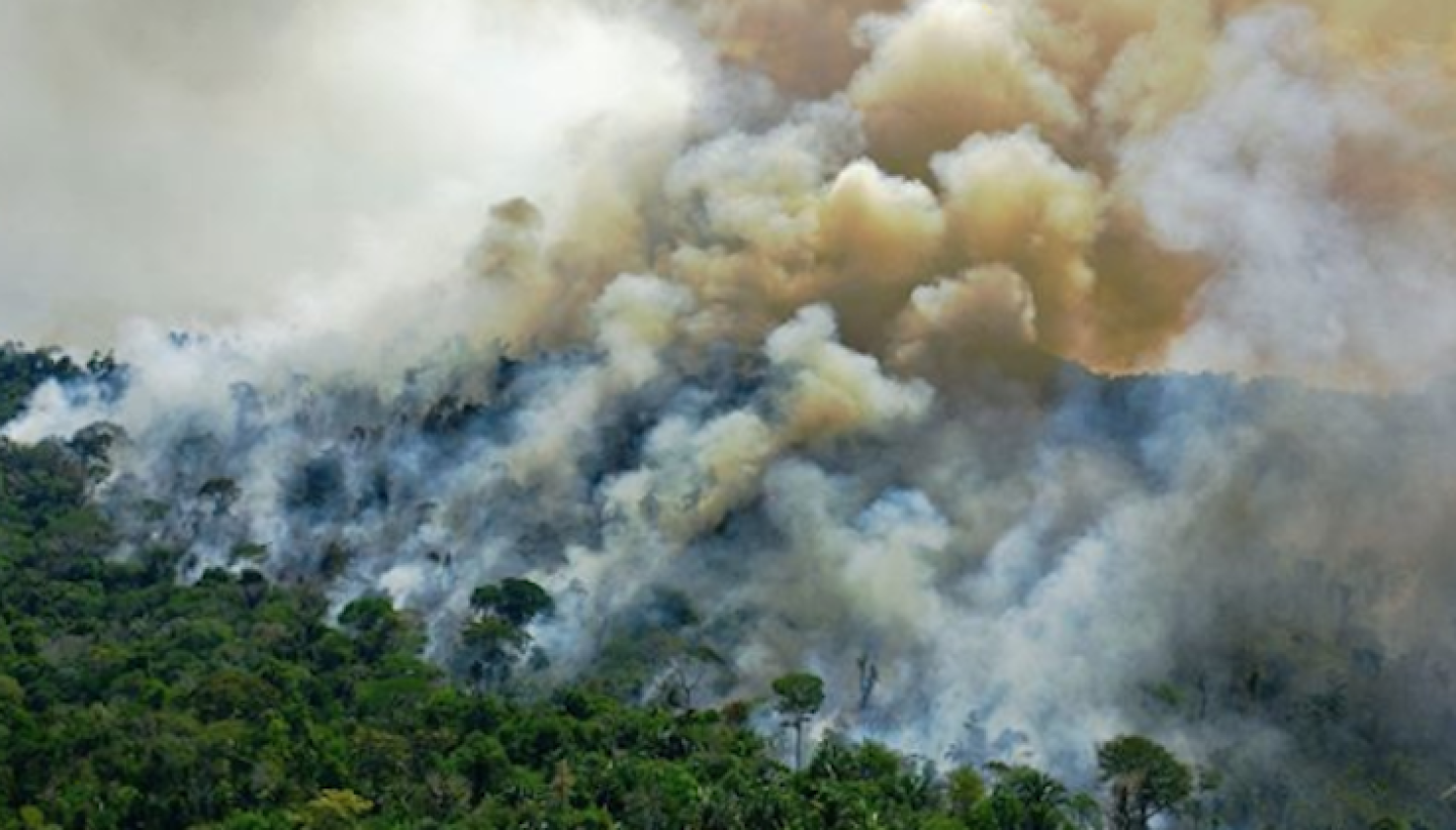 incendio_amazonas_brasil_