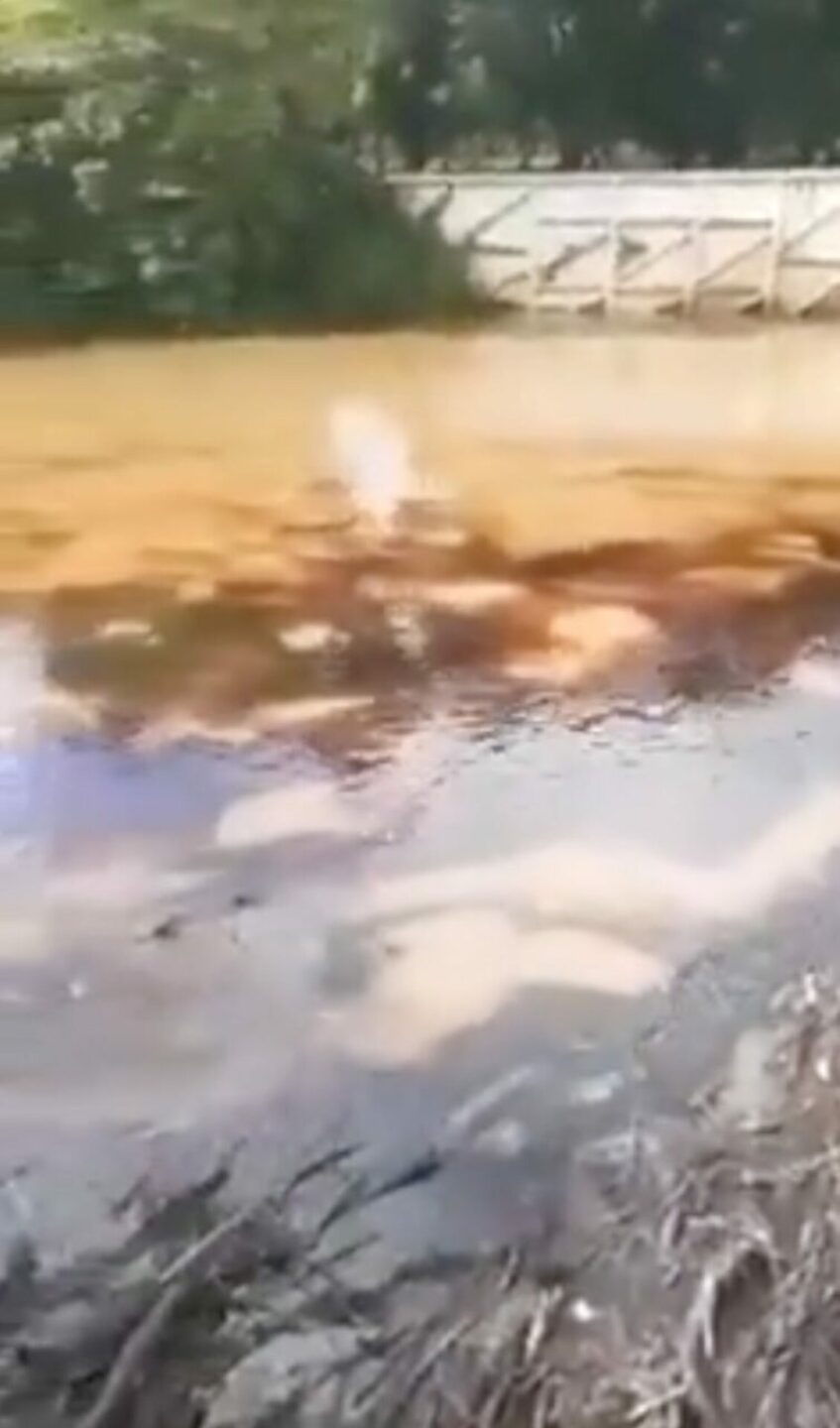 derrame-petroleo-tabasco-753x1280