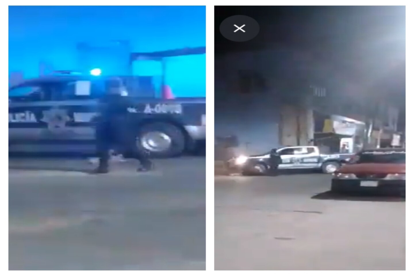 policías municipales Oaxaca perrito