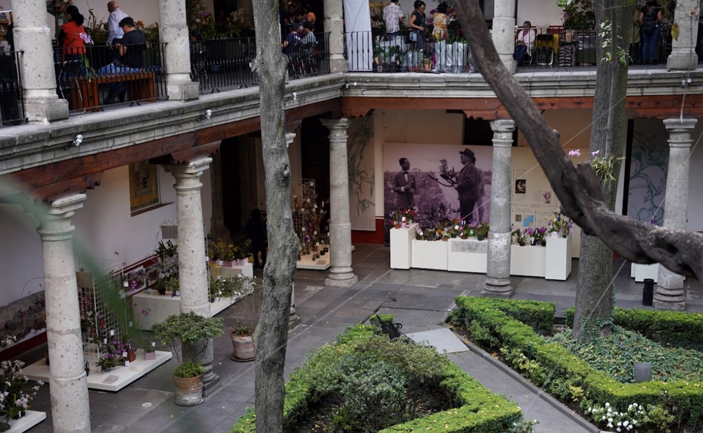 museo_franz_mayer_2024_exposiciones_world_press_photo_